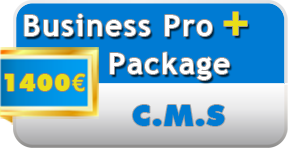 Business Pro Plus internet package from 1350€
