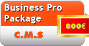 Business Pro Internet package from 750€